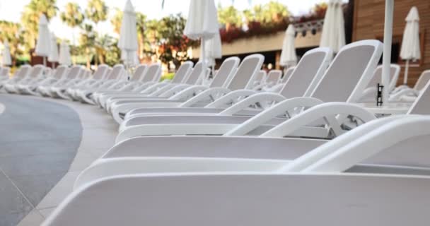 游泳池边排列着灰色的白色空旷的日光浴者 夏季的服务池酒店 — 图库视频影像
