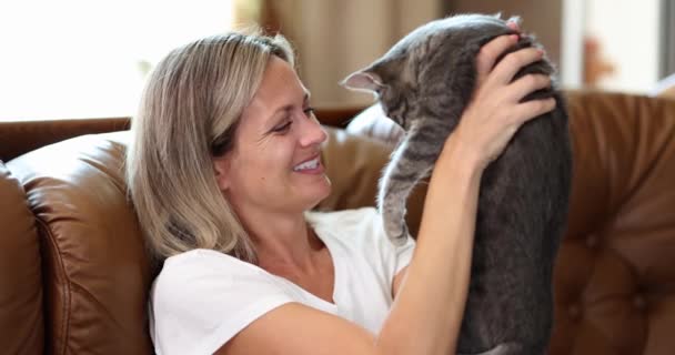 Radosna Gospodyni Posiada Szary Piękny Kot Siedzi Kanapie Domu Salonie — Wideo stockowe