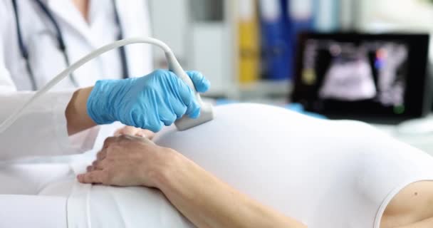 Doctor Makes Ultrasound Scan Pregnant Woman Close Medical Equipment Fetal — Video Stock