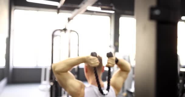 Baksidan Mannen Håller Hanteln Lyftutrustning Bakom Ryggen Övningar För Muskler — Stockvideo
