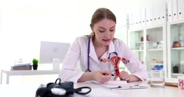 子宮および卵巣のモデルでペンが付いているポイントの婦人科医 ドクターは女性の生殖器の構造を示します — ストック動画