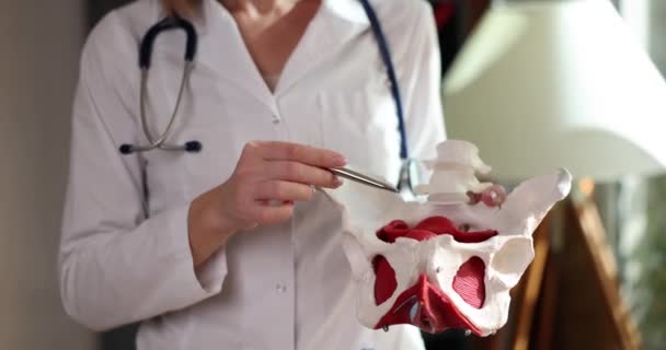 Doctor Showing Bones Muscles Pelvis Woman Closeup Movie Slow Motion — Wideo stockowe