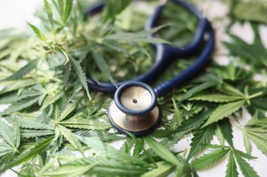 Medical stethoscope and green marijuana leaves closeup. Medical marijuana benefits and harms clipart