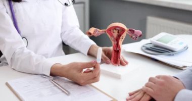 Jinekolog, sahte kadın üreme sistemine tampon yerleştiriyor. Uygun hijyenik kadın ürün konsepti