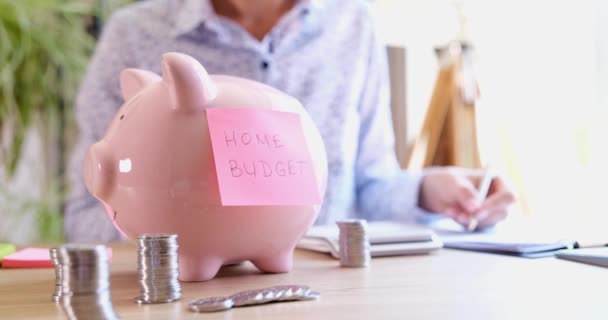 Pink Sticker Home Budget Hanging Piggy Bank Coins Closeup Movie — Stock video