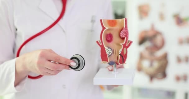 女医生将听诊器固定在带有炎症的直肠模型上 临床办公室慢动作工作制服检查直肠管专家 — 图库视频影像