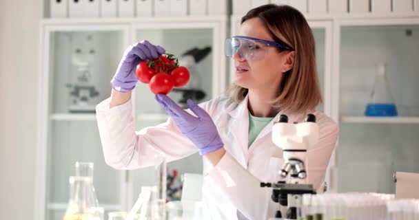 Вчений Вивчає Червоні Помідори Шкідливих Речовин Лабораторії Помічник Окулярах Оглядає — стокове відео