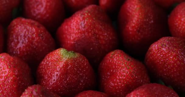 おいしい熟した明るい赤いイチゴは 回転する白いプレートの上に横たわります ジューシーなテクスチャーと甘みのあるフルーツ オーガニック新鮮な収穫 — ストック動画