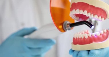 Eldivenleri parlayan diş hekimi ışık makinesini çene 4K filminin yapay plastik modeline dönüştürüyor. Diş sağlığı eğitimi konsepti