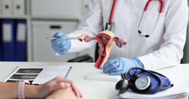 Dokter Gynaecoloog Toont Patiënt Vrouwelijke Ziekten Model Van Baarmoeder Eierstokken — Stockvideo