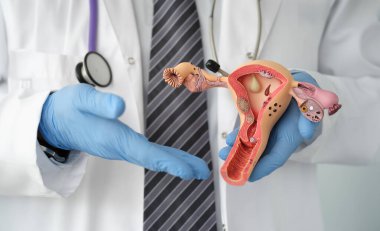 Plastik eldivenli doktor klinikte kadın rahminin plastik kopyasını tutuyor. Kadın üreme sistemi konsepti hastalıkları