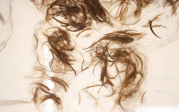 Каштановые Волосы Лежат Белом Полу Реставрация Уход Волосами — стоковое фото