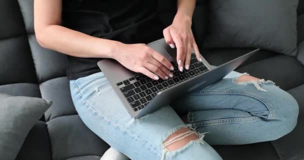 Egy Női Laptop Felhasználó Kezei Akik Kanapén Ülnek Szabadúszó Üzletasszony — Stock videók