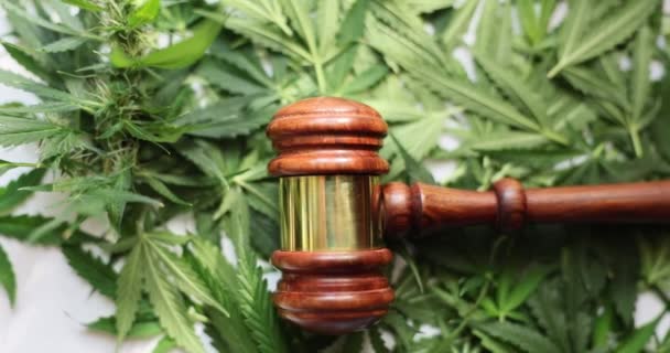 Gavel法官与大麻叶和禁止大麻合法化的概念 医疗大麻的刑事责任和合法性 — 图库视频影像