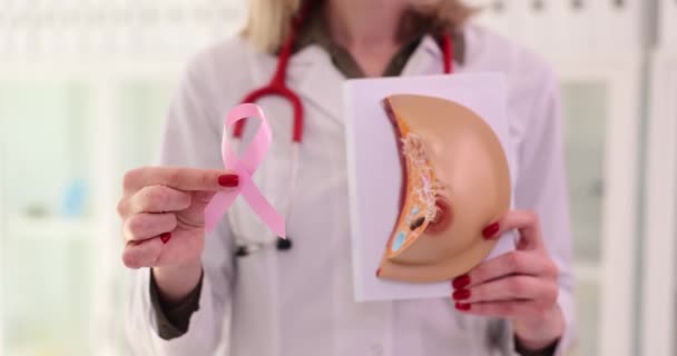 Γυναίκα Γιατρός Κατέχει Τεχνητό Μοντέλο Του Στήθους Και Ροζ Κορδέλα — Αρχείο Βίντεο