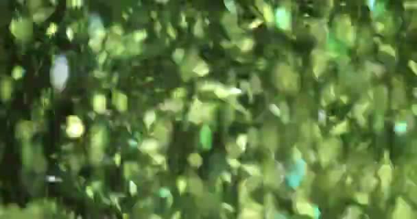 Κομμάτια Πολύχρωμα Πράσινο Glitter Που Υπάγονται Μαύρο Φόντο Της Ταπετσαρίας — Αρχείο Βίντεο