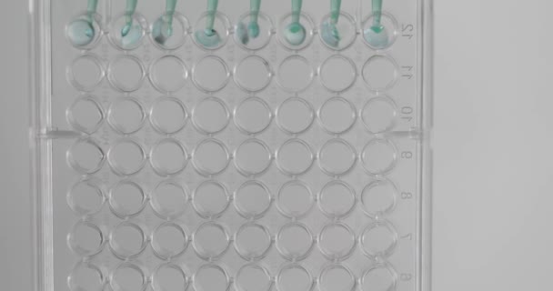 Laboratuvar Incelemesi Için Cam Test Tüplerine Sıvı Dökülüyor Test Sıvısı — Stok video
