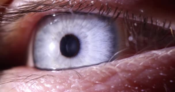 Nahaufnahme Eines Hellblauen Grauen Männlichen Auges Film Zeitlupe Anatomisches Konzept — Stockvideo