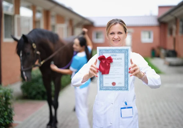 Woman veterinarian holds medical certificate for horse. Medical examination of sports purebred horses