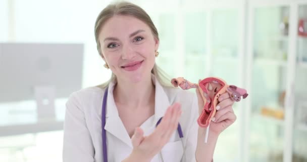 Dokter Ginekolog Wanita Memegang Model Sistem Reproduksi Wanita Tangan Membantu — Stok Video