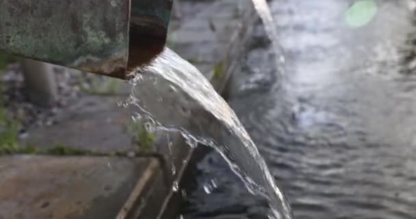 Closeup Water Flowing Pipe Waste Water Rain — Stock Video