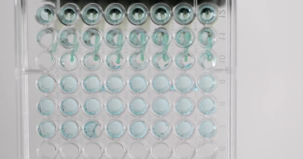 Químico Goteja Reagente Com Pipeta Recipiente Com Amostras Substância Azul — Vídeo de Stock
