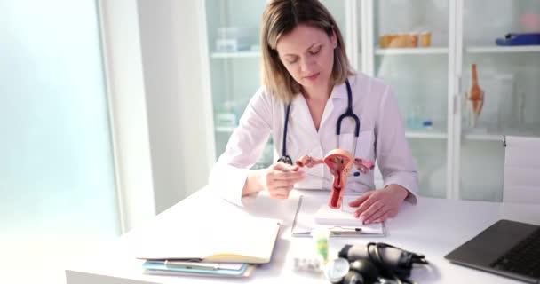 Kobieta Lekarz Demonstruje Sztuczny Model Macicy Wykładzie Ginekolog Mundurze Kliniki — Wideo stockowe