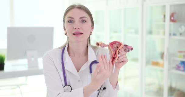 医生展示了一个解剖模型的子宫和卵巢与病理学特写 妇科疾病和治疗 — 图库视频影像