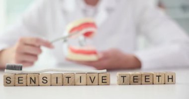 Dişçi yapay çene modelinin dişlerini ve metne duyarlı dişleri temizler. Ağız temizliği.