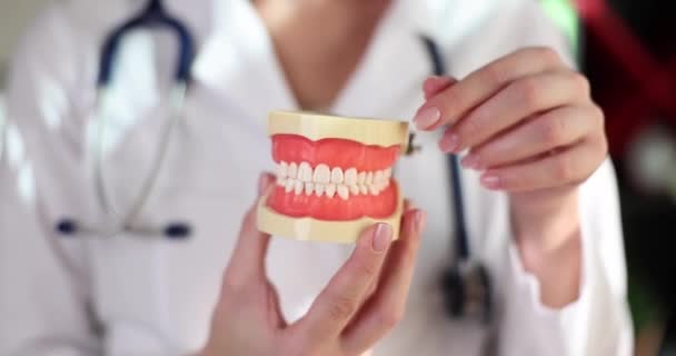Dentista Abre Mandíbula Artificial Con Dientes Blancos Hermosos Primer Plano — Vídeo de stock