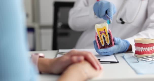 Дантист Показывает Пациента Очистить Зуб Крупным Планом Врач Демонстрирует Клинике — стоковое видео