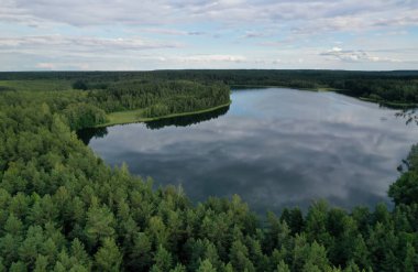Yeşil çayır ve gölet manzaralı ya da bulutlu gökyüzü yansımalı nehir manzaralı. Ağaçlı, pitoresk bir yerin yatay çizgisi. Yaz ya da bahar mevsiminde vahşi doğa