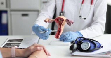 Jinekolog kadına ve ultrasona bakıyor. Kadın üreme sisteminin jinekolojik hastalıkları