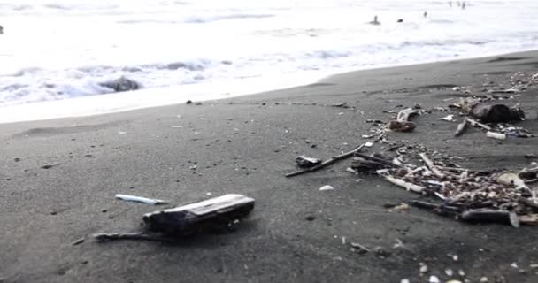 Strand Szennyezés Műanyag Palackok Egyéb Szemét Tengerparton Ökológiai Koncepció — Stock videók