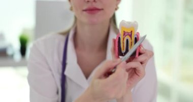 Diş hekimi yapay diş ve tedavi yöntemleri kullanan hastalar gösteriyor. Diş sorunu ve tedavi kavramı