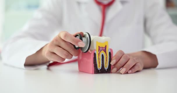 歯科のための歯科医の手の白い健康な歯の歯科スコープ 歯科診断と治療について — ストック動画