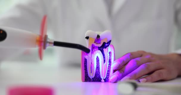 Zubní Fotopolymerová Lampa Zářící Modrou Lampou Klinice Léčení Lampy Zubním — Stock video