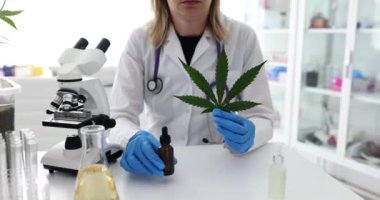 Marihuana yaprağı tutan ve laboratuvarda kenevir yapraklarıyla deney yapan bir bilim adamı. Eczacı laboratuvarda kenevir yağı çıkarıyor, tıbbi araştırmacılar şifalı bitkiler üzerinde çalışıyor