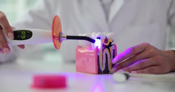 Zubař Používá Zařízení Pro Vytvrzování Zubů Lékař Asistent Demonstruje Péči — Stock video