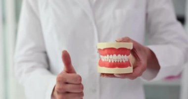 Beyaz önlüklü stomatolog diş tedavisini onaylamak için sağlıklı plastik çene modelini elinde tutuyor. Sağlıklı dişler ve ağız boşluğu
