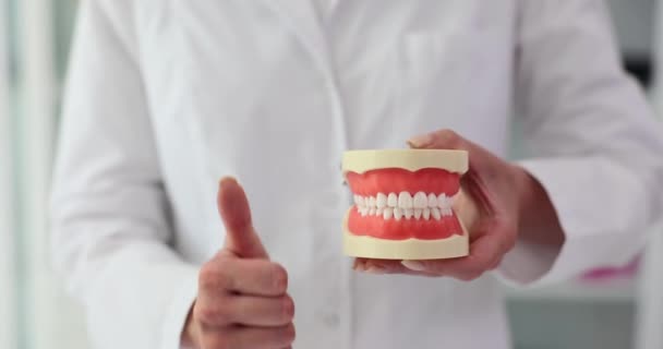身穿白衣的口腔科医生表示 举着健康的塑料下颚模型的姿势大拇指向上 以支持牙科治疗 健康的牙齿和口腔 — 图库视频影像