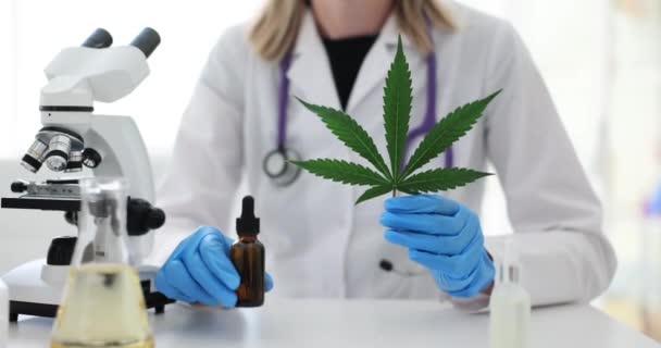 Científico Médico Que Investiga Cannabis Cáñamo Laboratorio Médico Científico Sosteniendo — Vídeo de stock
