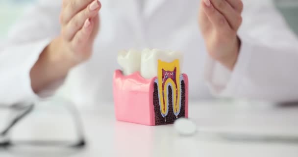 Tandheelkundige Verzekering Emaille Vervanging Tandheelkundige Behandeling Hygiëne — Stockvideo