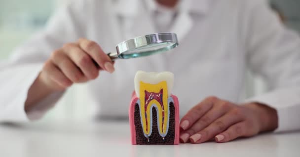 Zubař Kontroluje Dutiny Ústní Zuby Pomocí Zvětšovacího Nástroje Zubní Koncept — Stock video