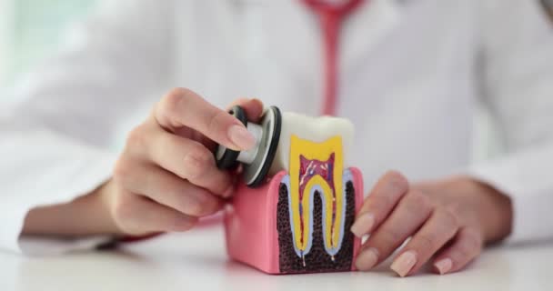 Ząb Stetoskop Rękach Dentysty Celu Zapewnienia Opieki Stomatologicznej Diagnostyka Stomatologiczna — Wideo stockowe