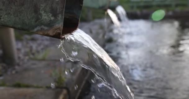 Miejscowa Oczyszczalnia Ścieków Oczyszczania Ścieków Organicznych Rura Spustowa Wodą — Wideo stockowe