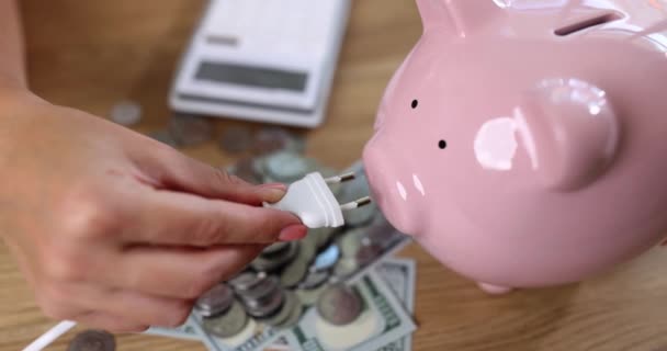 Housewife Hand Inserting Electric Plug Piggy Bank Closeup Movie Slow — Vídeo de stock