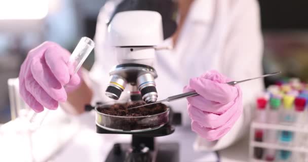 Tudósok Védőkesztyűt Viselnek Miközben Mintákat Vizsgálják Laboratóriumban Laboratóriumi Kutatási Talajkoncepció — Stock videók