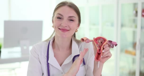 Uśmiechnięty Lekarz Pokazuje Anatomiczny Model Macicy Badania Ginekologiczne Szkolenia Położnicze — Wideo stockowe