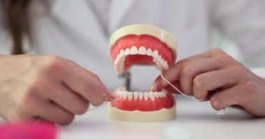 Diş sağlığı kliniğinde diş ipi olan bir çene modeli. Ağız bakımı